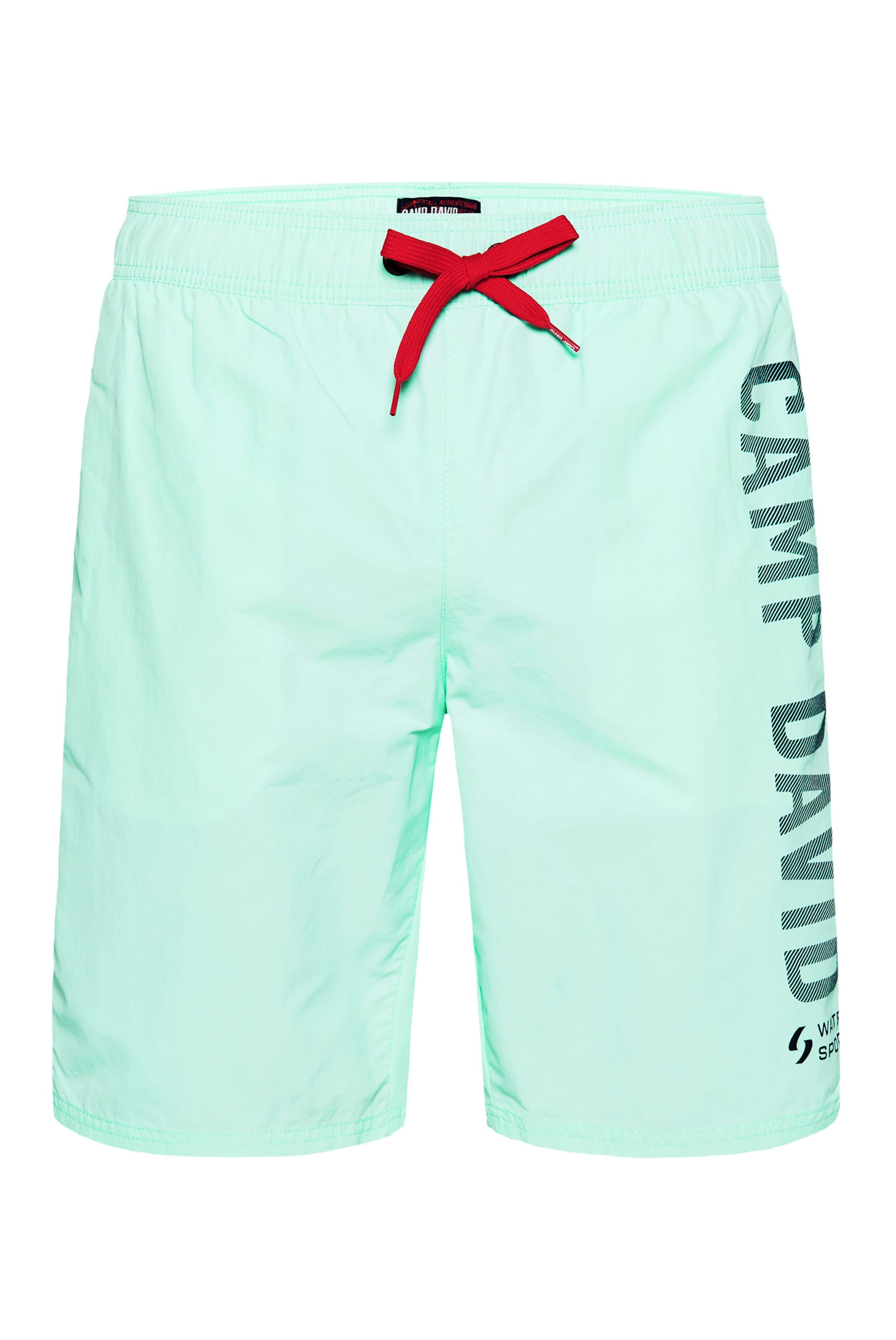 CAMP DAVID Board Shorts in Green: front