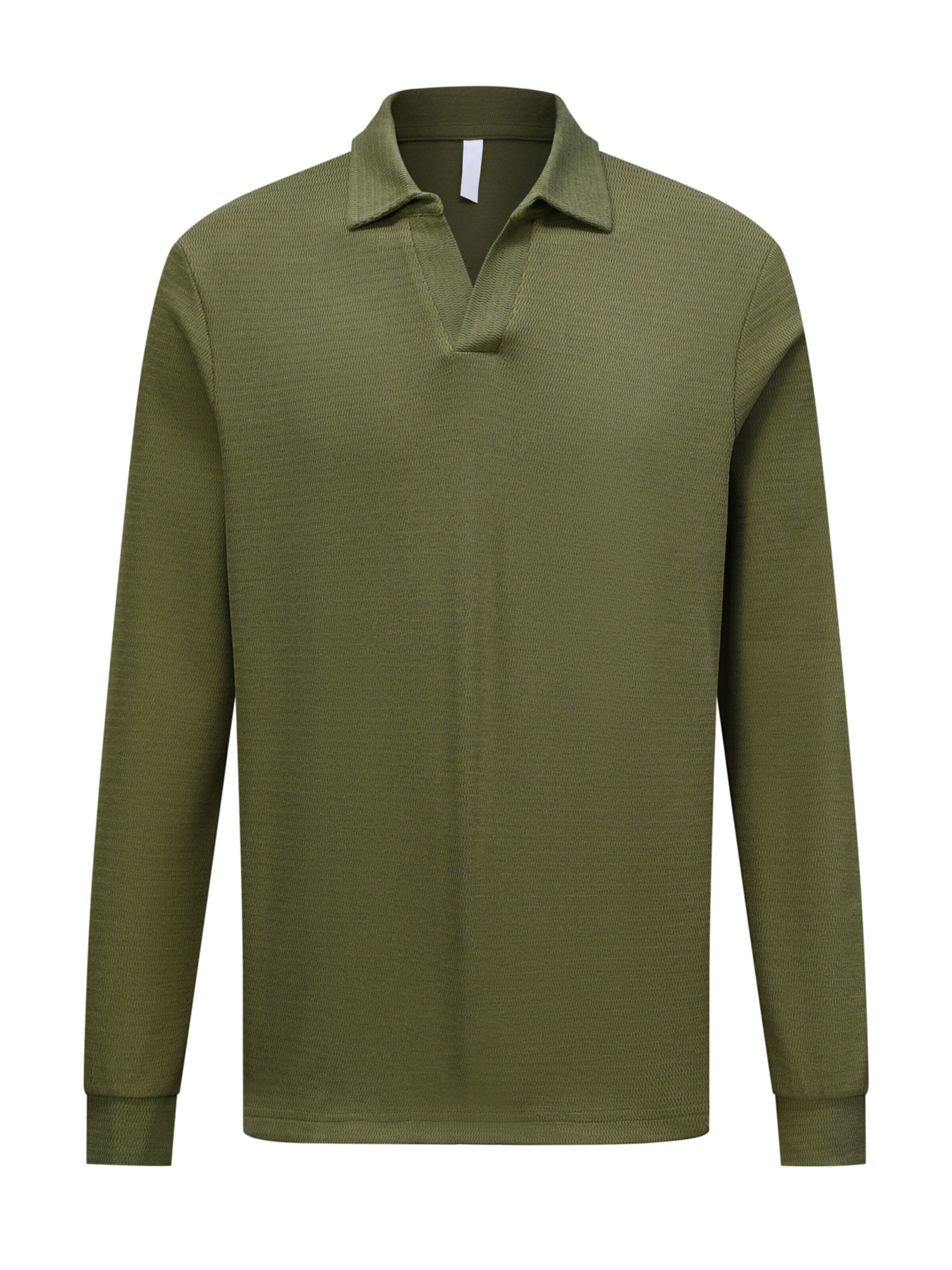 ALLTHEMEN Shirt 'Schwinge' in Green: front