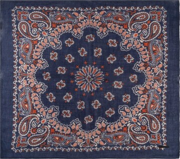 Écharpe SILK & CASHMERE en bleu : devant