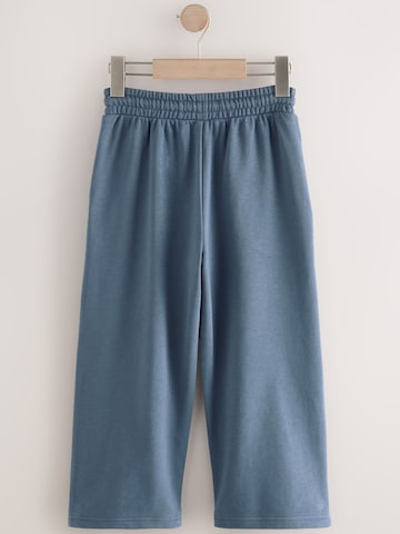 Next Loosefit Broek in Blauw