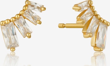 ANIA HAIE Earrings in Gold: front