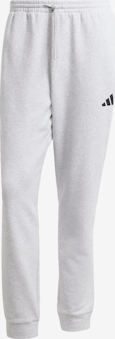 ADIDAS SPORTSWEARTapered Sportske hlače 'Essentials Feelcozy' - siva boja: prednji dio