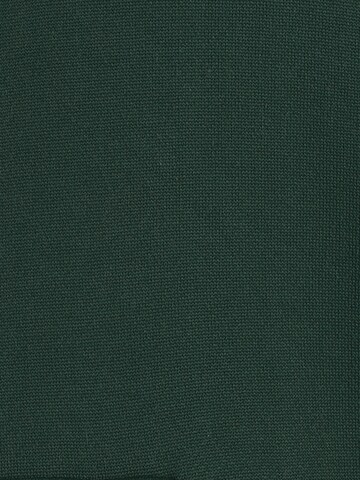 ABOUT YOU REBIRTH STUDIOS Sweatshirt 'BJOERN' in Green