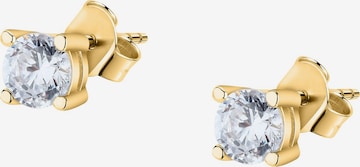 La Petite Story Earrings in Yellow: front