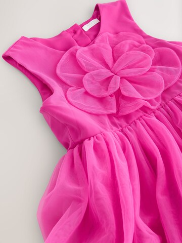 Next Kleid in Pink