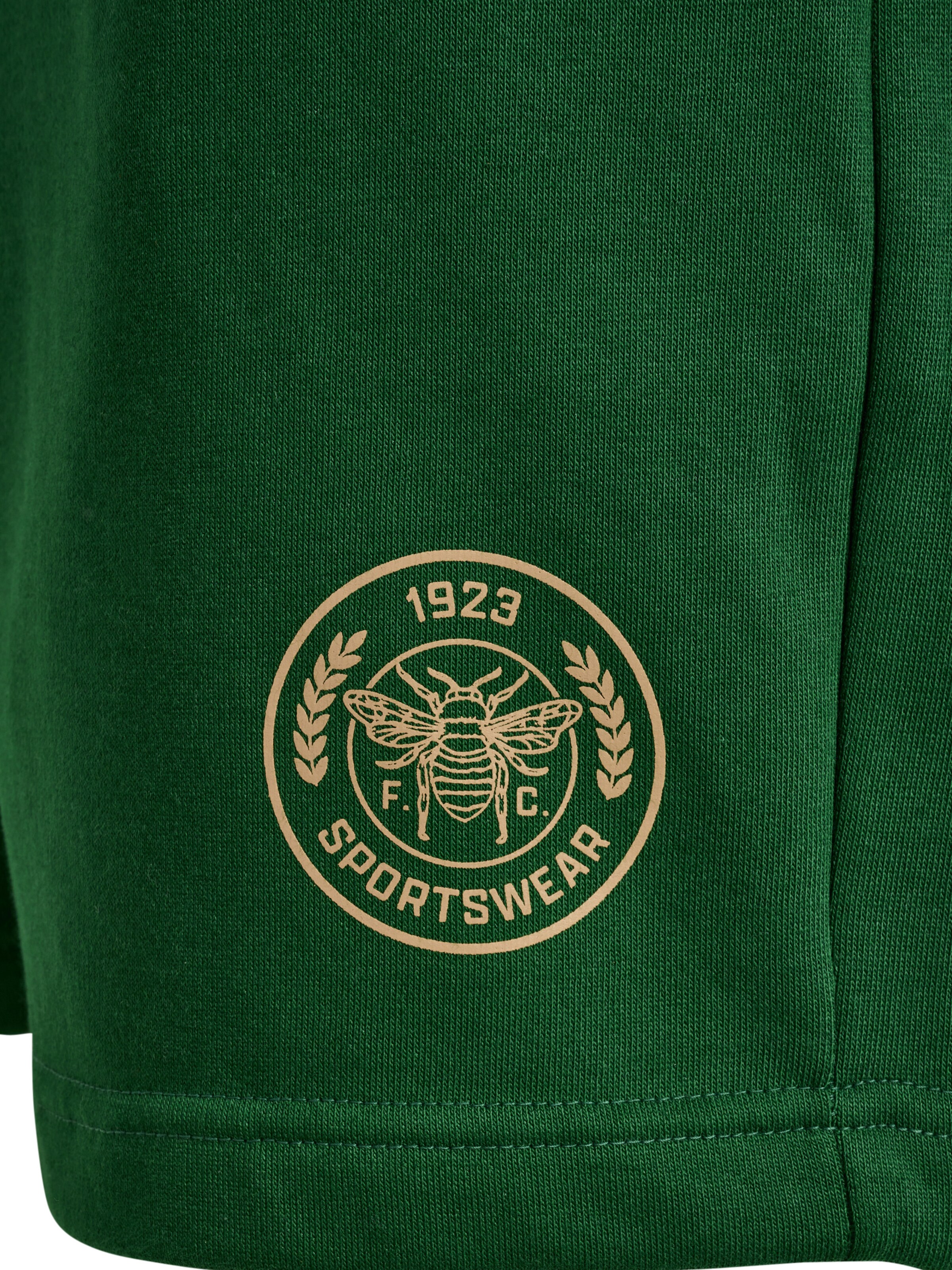 Hummel regular Sportsbukser 'SWARM' i grøn