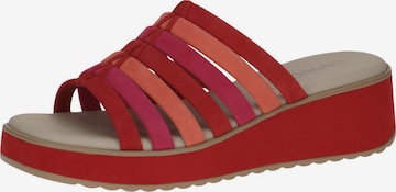 CAPRICE Pantolette in Rot: Vorderseite