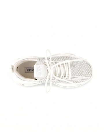 Sneaker bassa 'Poise' di STEVE MADDEN in bianco