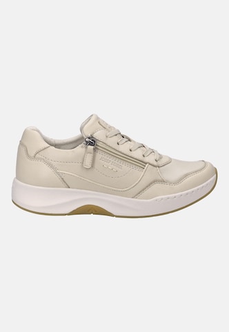 JOSEF SEIBEL High-top trainers 'ELLI 06' in Beige