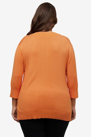 Ulla Popken Pullover in Orange