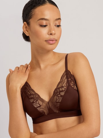 Hanro Triangle Bra ' Elia ' in Brown