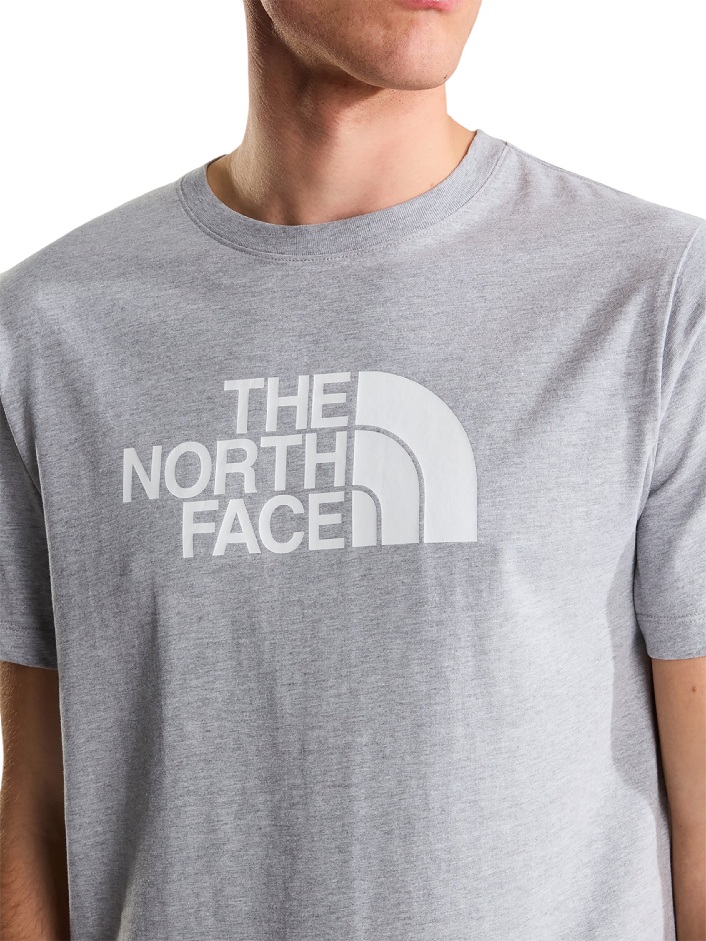 THE NORTH FACE Shirt 'Evolution Half Dome Regular' in Grey