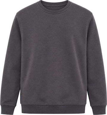 LOUIS LECLER Sweatshirt 'Carter' in Grijs: voorkant