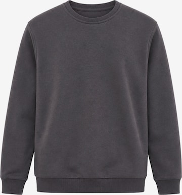LOUIS LECLER Sweatshirt 'Avery' in Grijs: voorkant