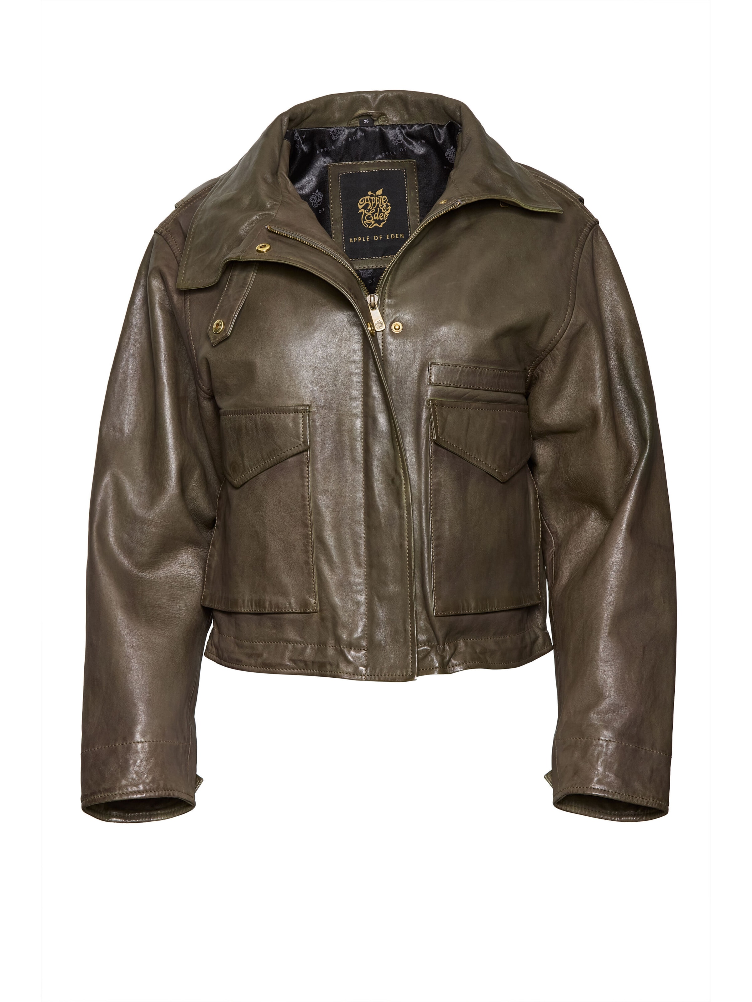 Apple of Eden Übergangsjacke in Grün: Vorderseite