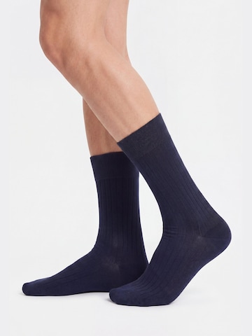 Ciocca Socks in Blue