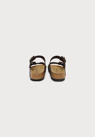 BIRKENSTOCK Чехли 'Arizona' в кафяво