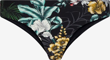Marc & André Bikini Bottoms ' Playful Forms' in Black: front