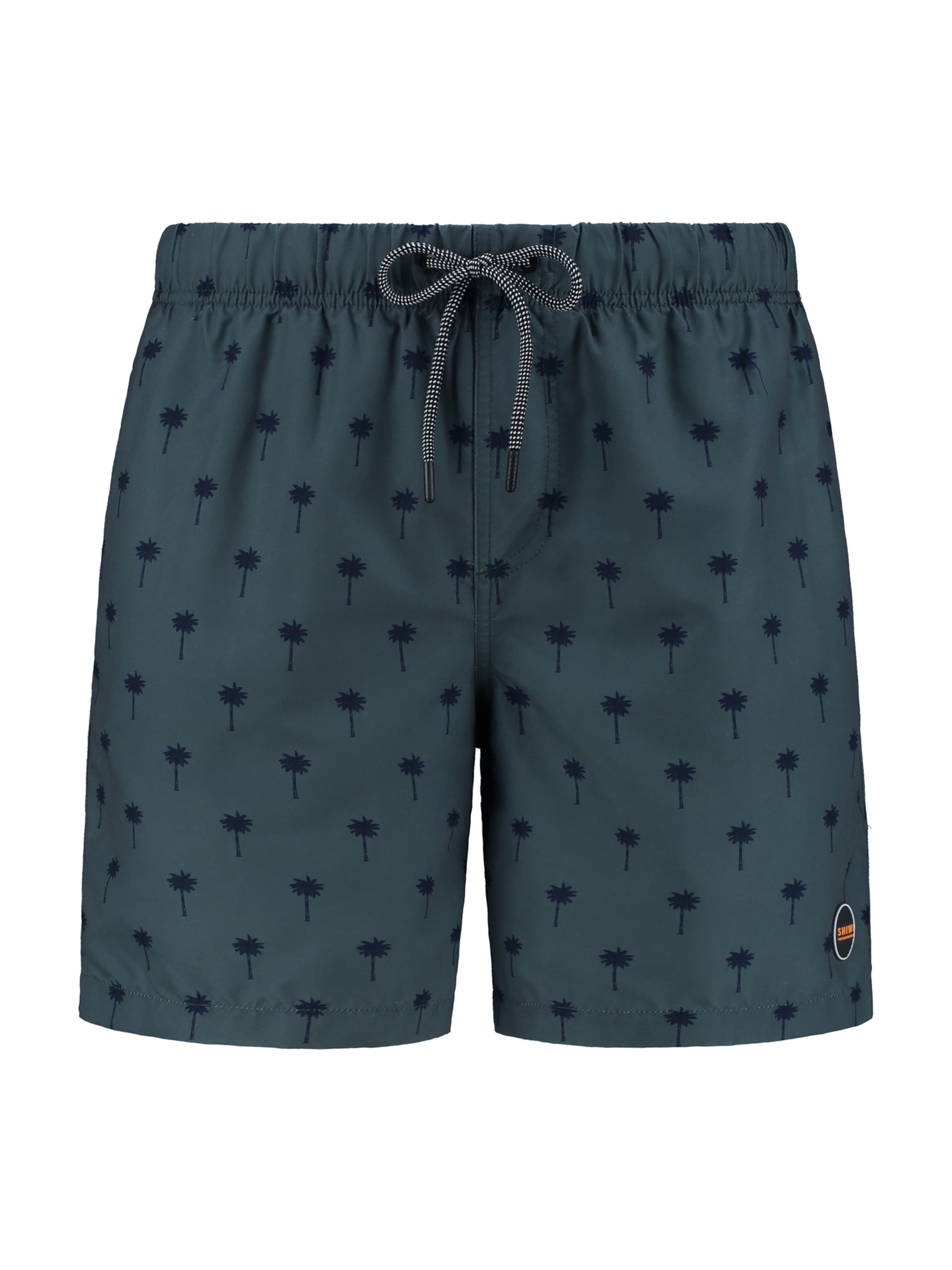 Shorts de bain Shiwi en vert : devant