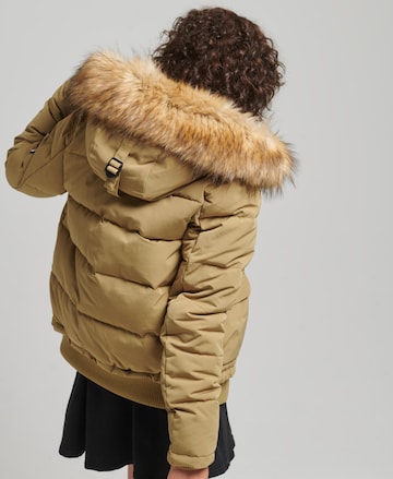 Veste d’hiver 'Everest' Superdry en beige