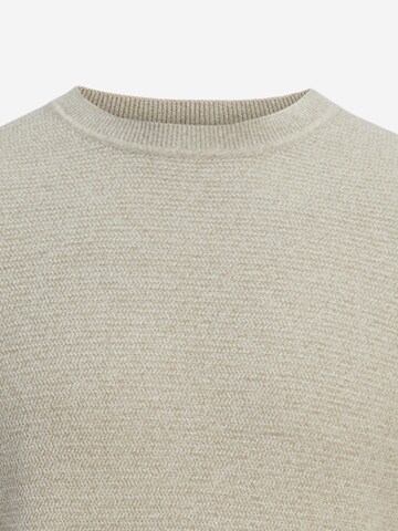 JACK & JONES Sweater 'Bluriley' in Brown