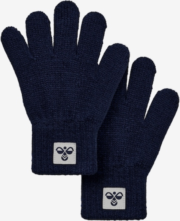 Hummel Gloves in Blue: front