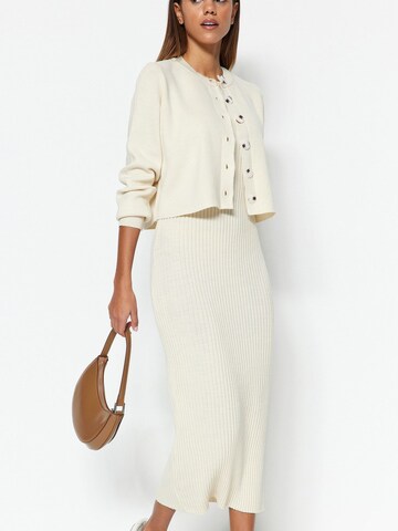 Trendyol Knitted dress in Beige