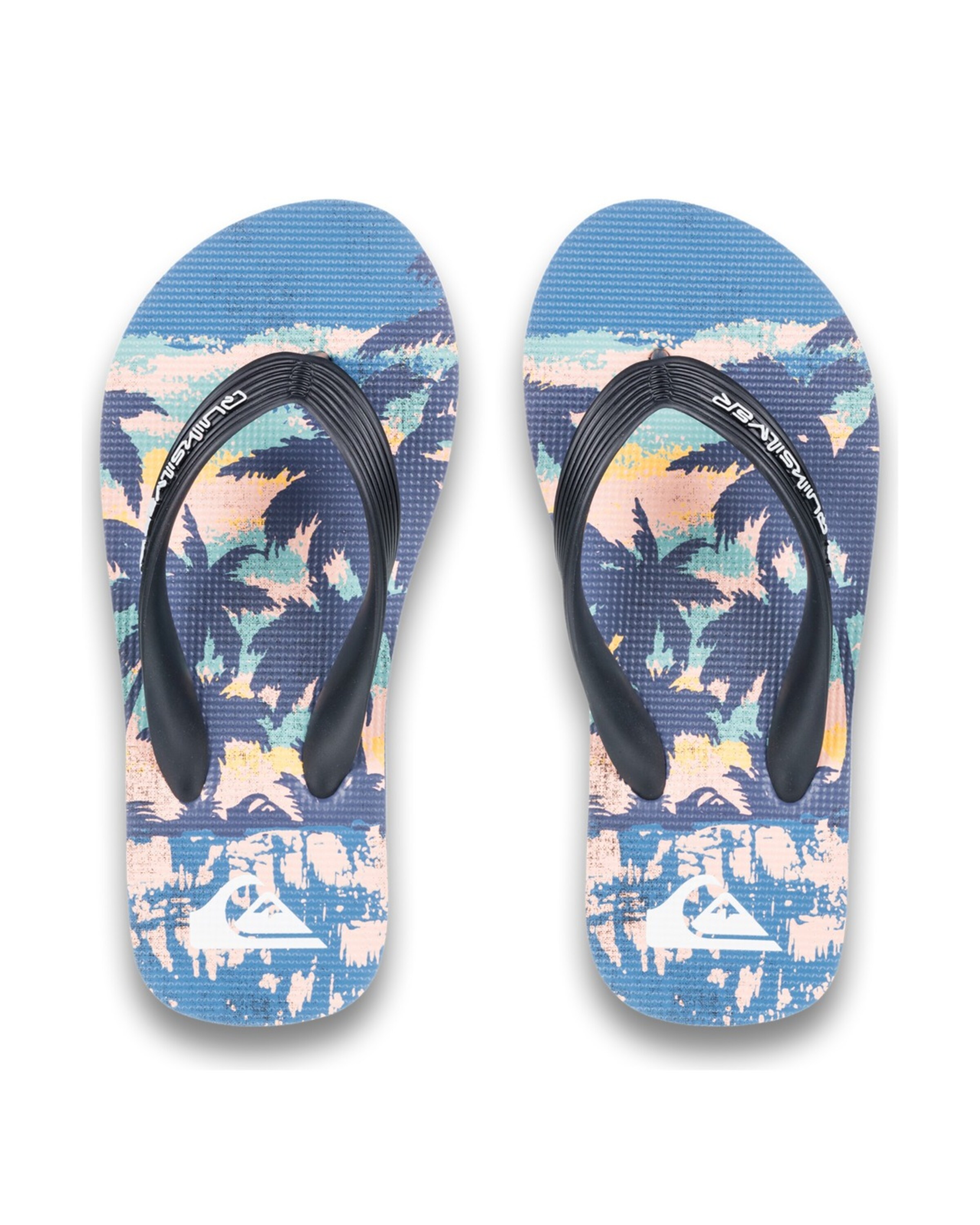 QUIKSILVER Open schoenen 'Molokai Art 25' in Blauw