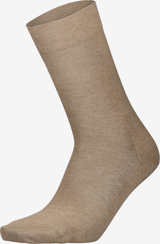 Chaussettes 'Richard' KUNERT en marron : devant