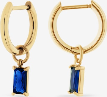 FAVS Earrings in Blue