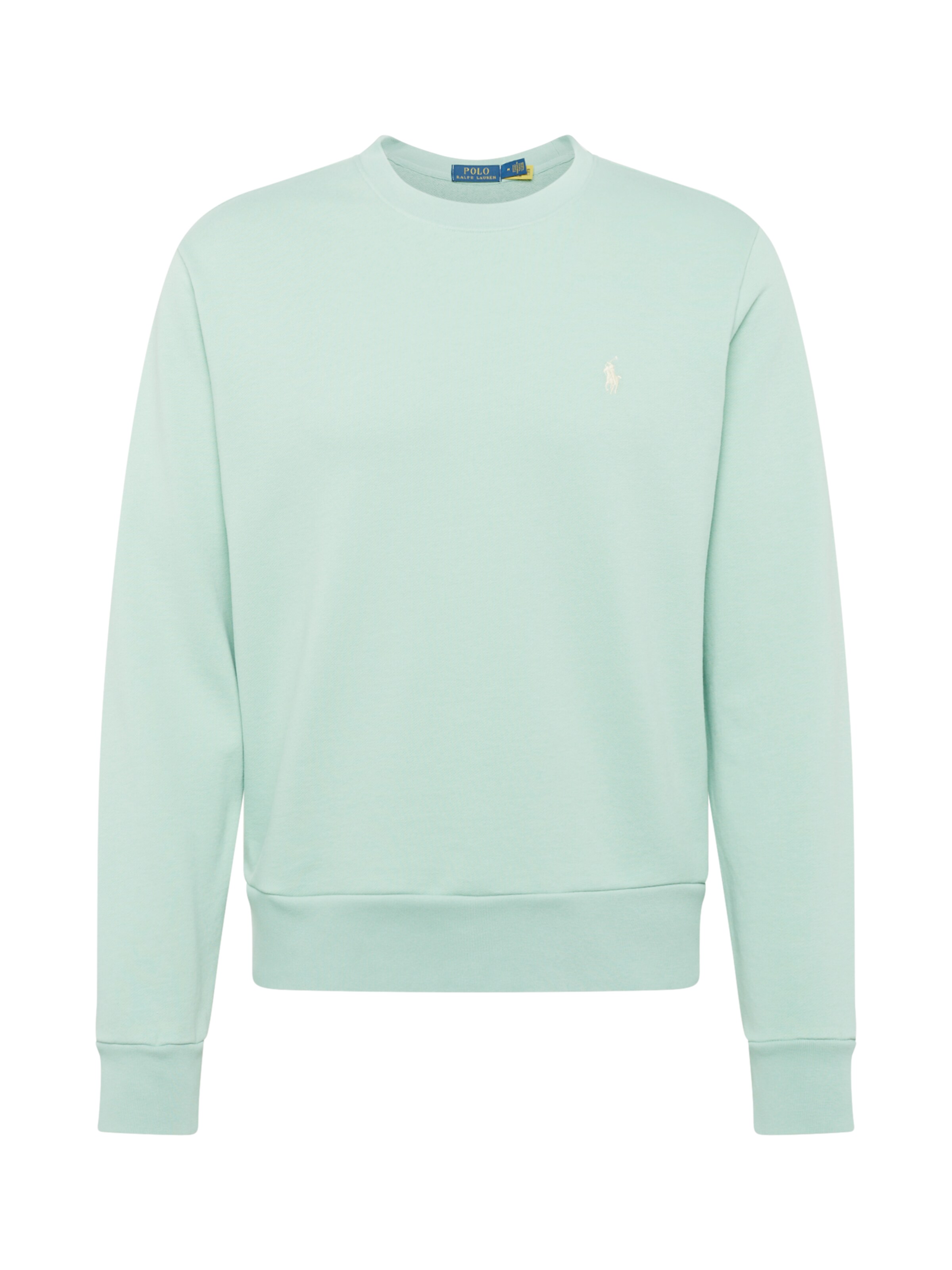 Felpa di Polo Ralph Lauren in verde: frontale