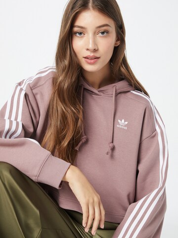 ADIDAS ORIGINALS Collegepaita 'Adicolor Classics ' värissä lila