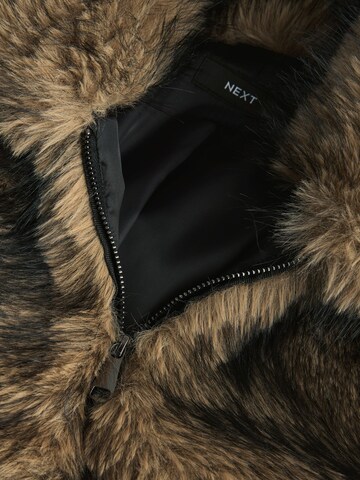 Veste d’hiver Next en beige