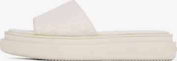 Mule Calvin Klein en gris : devant