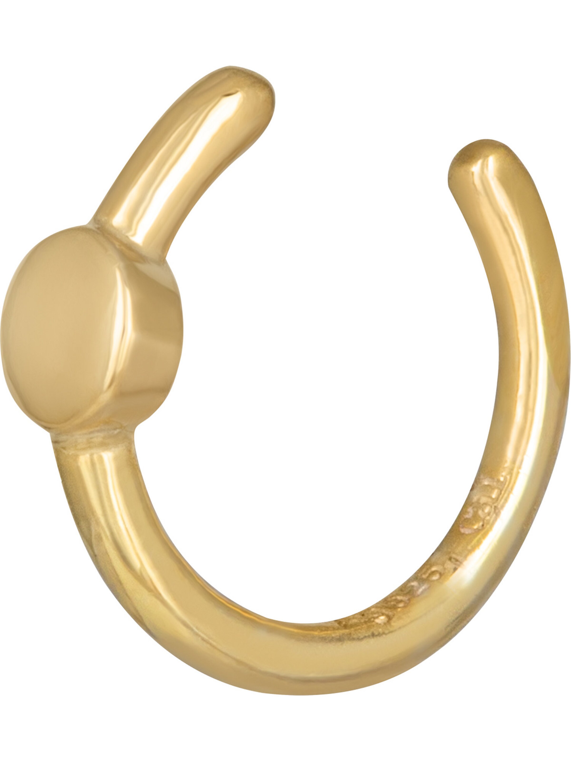 caï Earrings in Gold