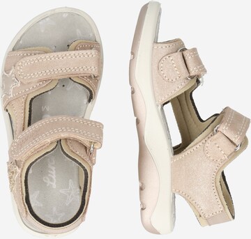 Sandales 'FIA' SALAMANDER en beige