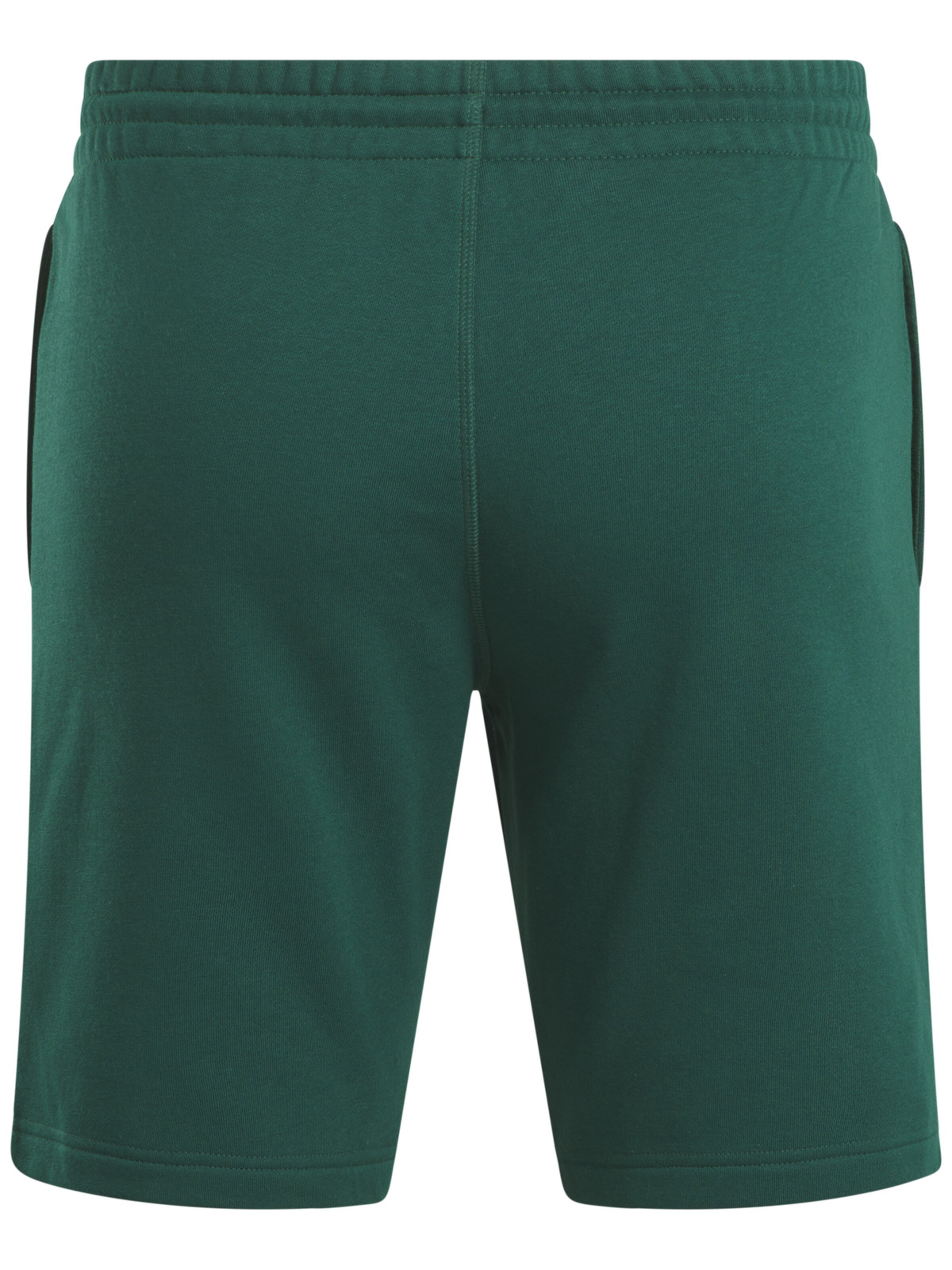 Reebok Regular Workout Pants in Green