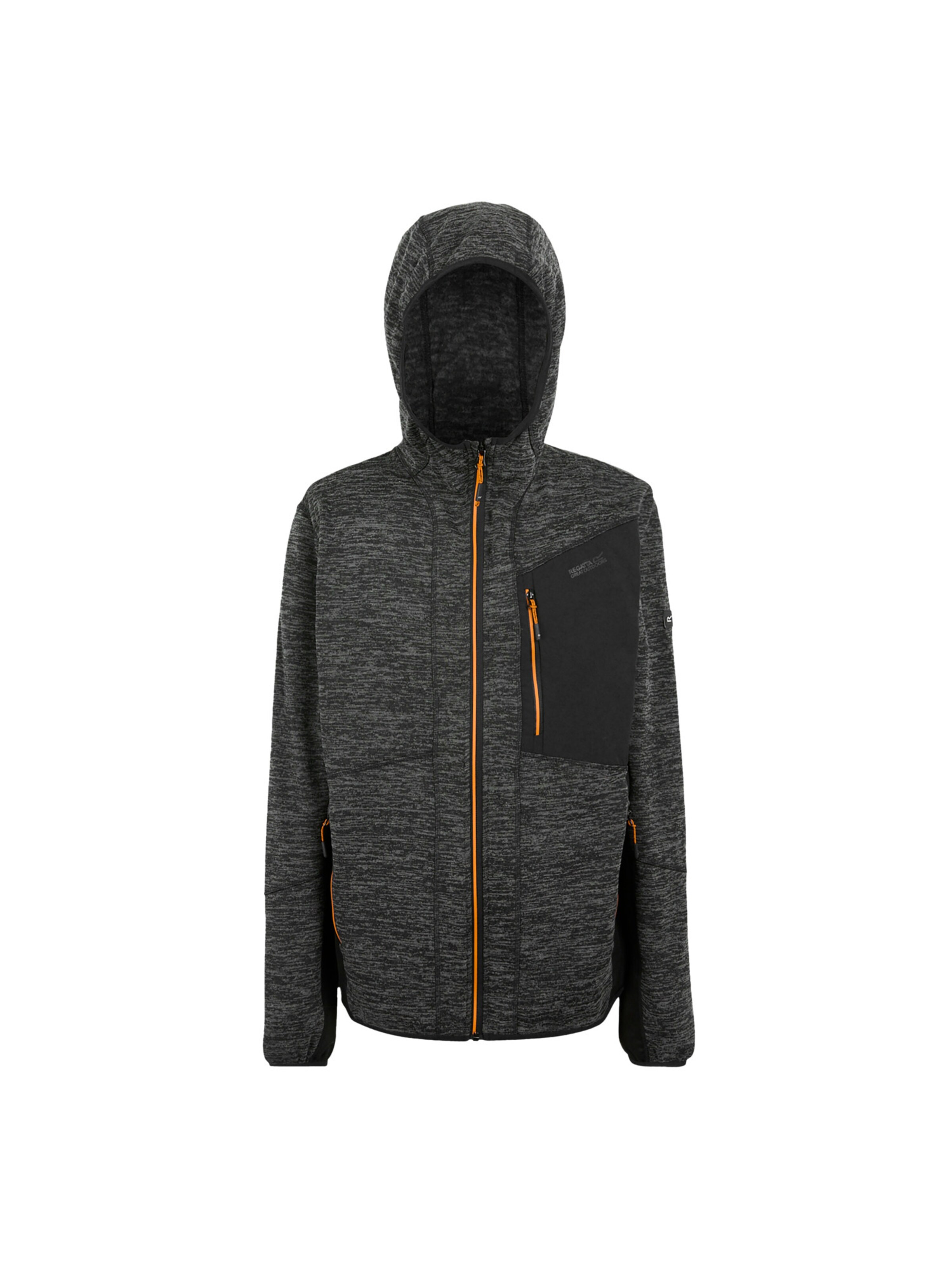 REGATTA Fleece jacket 'Alven' in Grey: front