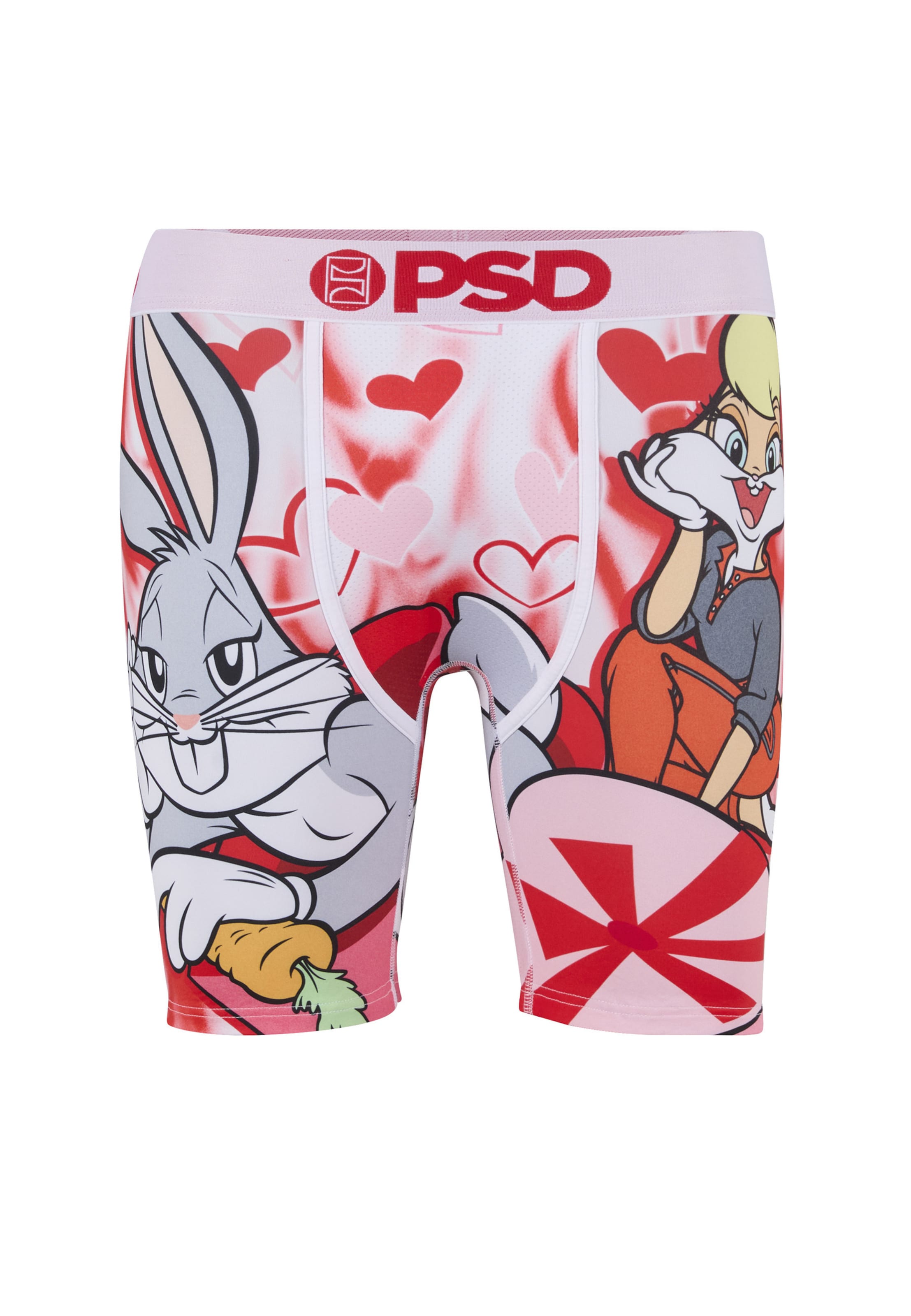 Boxer di PSD in colori misti: frontale