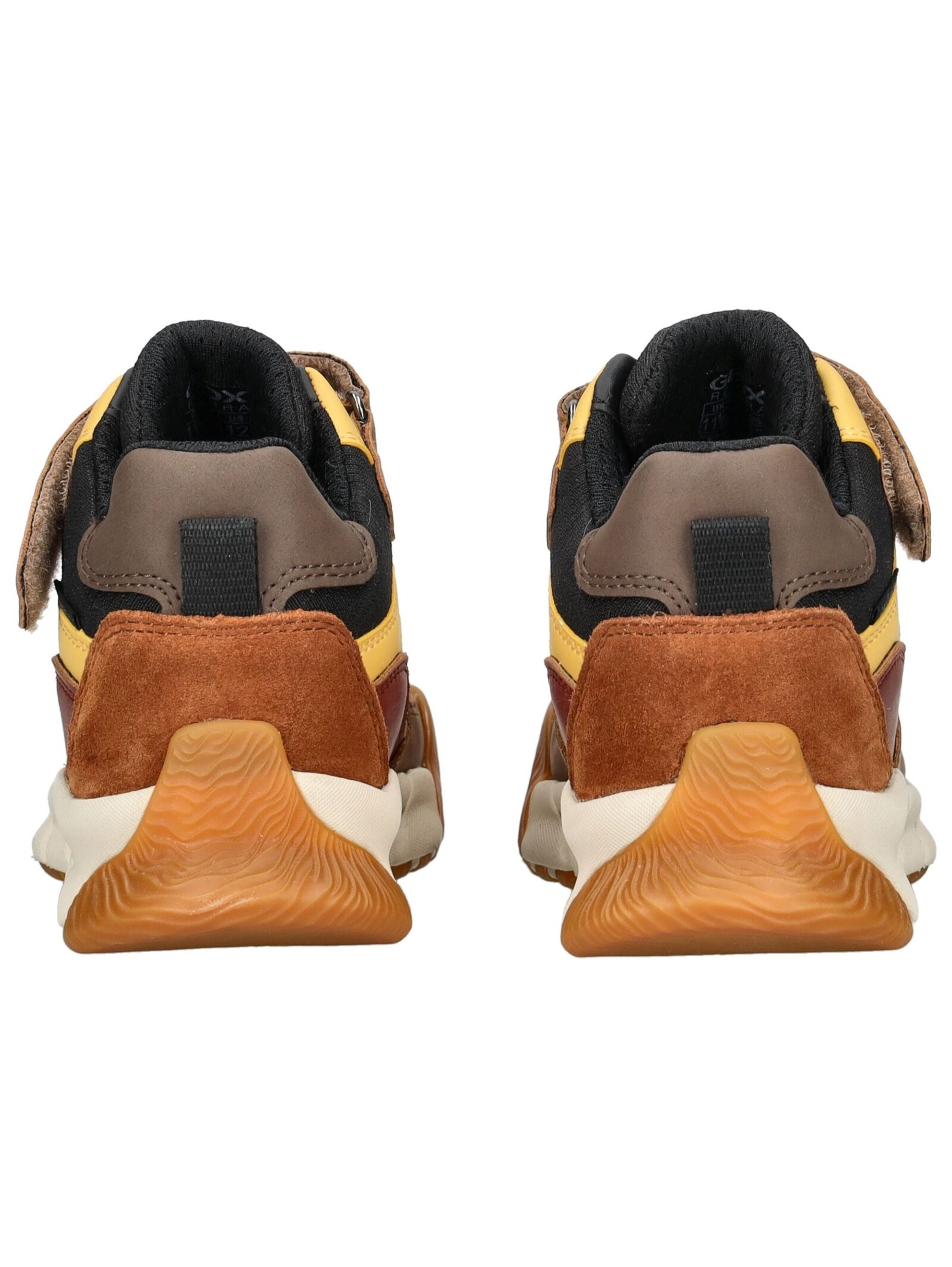 GEOX Stiefelette in Braun