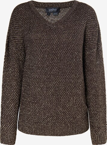 usha BLACK LABEL Sweater in Brown: front