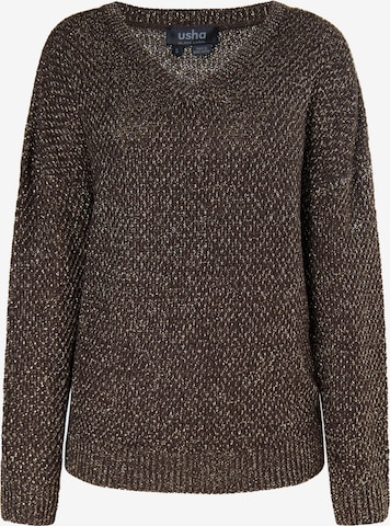 Pullover di usha BLACK LABEL in marrone: frontale