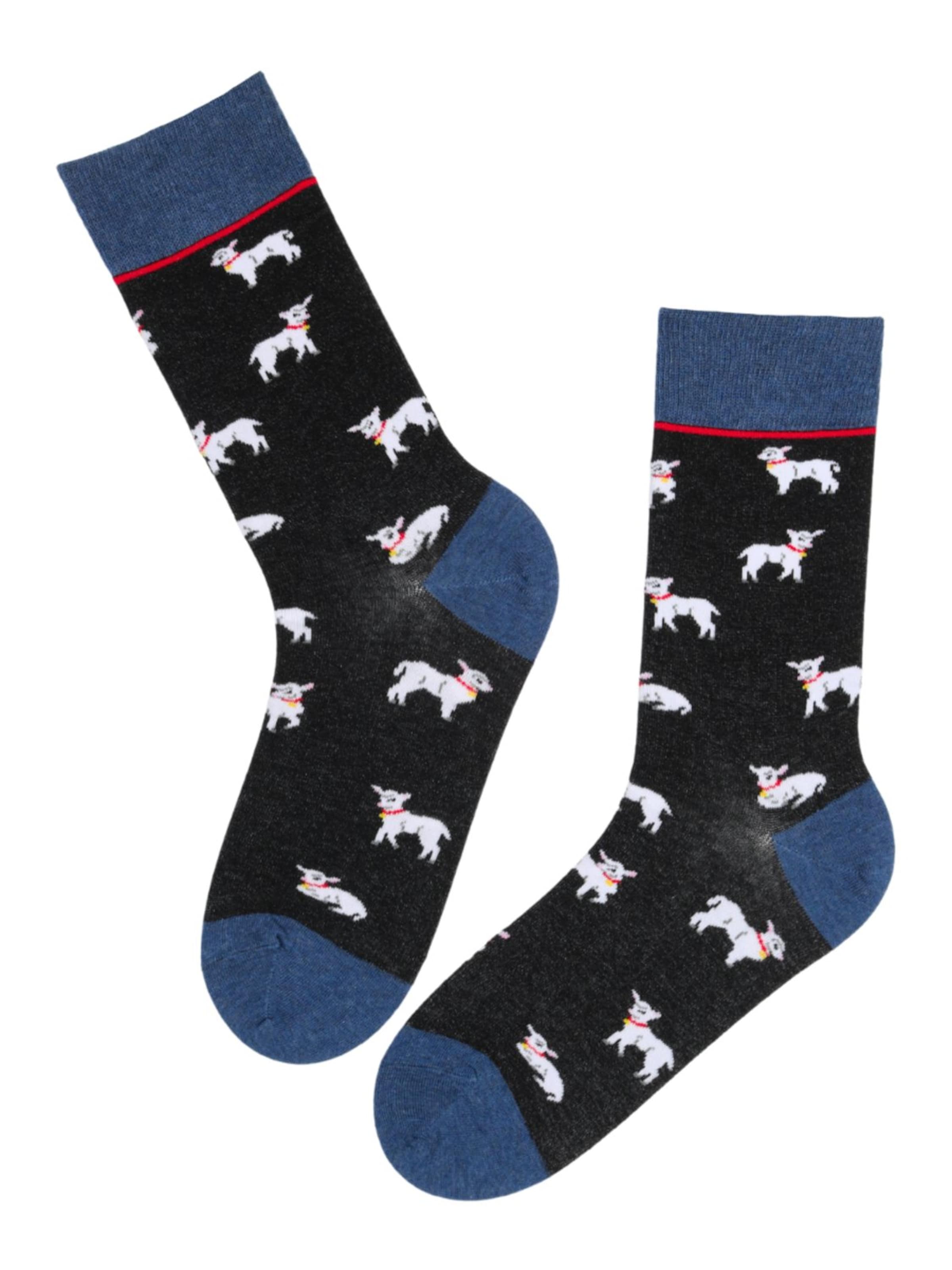 Chaussettes 'SHEEP cotton socks' Sokisahtel en noir : devant