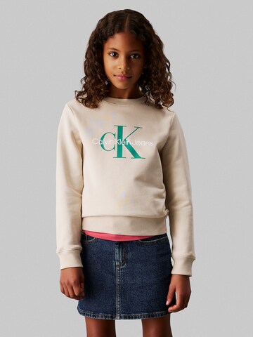 Sweat Calvin Klein Jeans en gris : devant