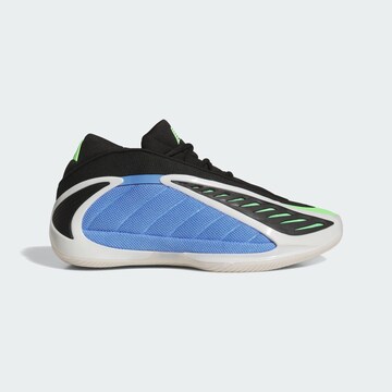 ADIDAS PERFORMANCE Athletic Shoes 'Anthony Edwards 2' in Blue
