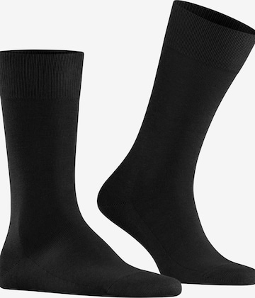 FALKE Socks 'Family' in Black: front