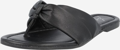 Karolina Kurkova Originals Pantolette 'Cinzia' in schwarz, Produktansicht