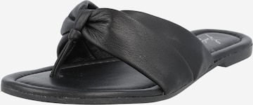 Karolina Kurkova Originals Mule 'Cinzia' in Black: front