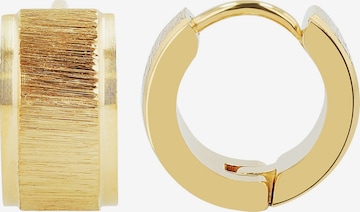 Akzent Earrings 'Mattheo, langlebig' in Gold: front