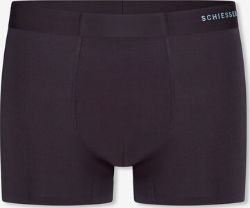 SCHIESSER Boxershorts ' Modern Bonded ' in Grijs: voorkant